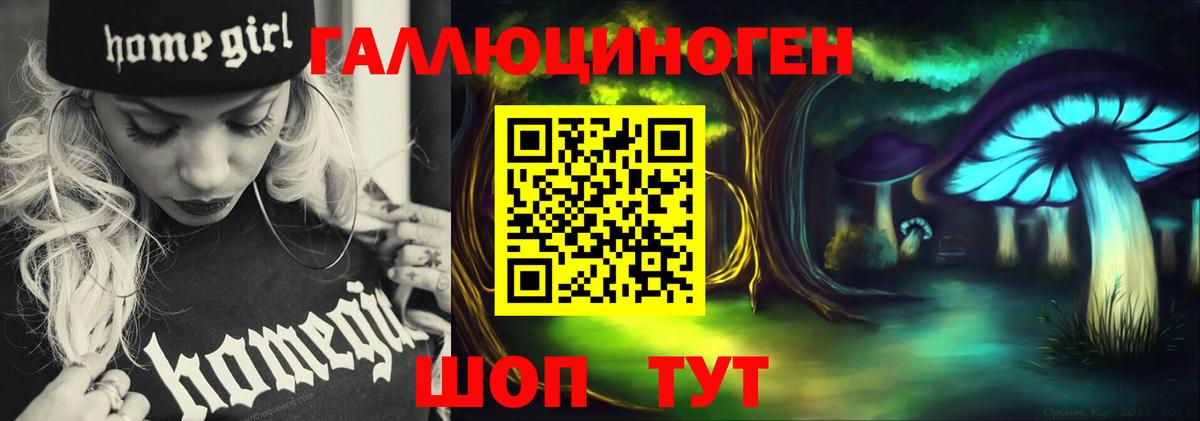 сколько стоит  Псилоцибиновые грибы мухоморы  Вход с VPN  Фрязино 